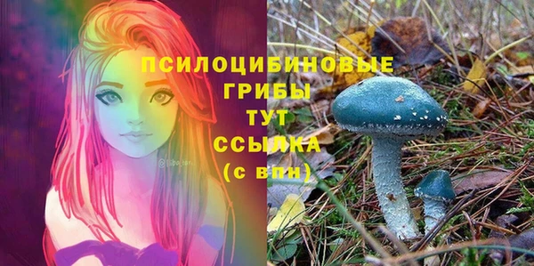 гашик Баксан