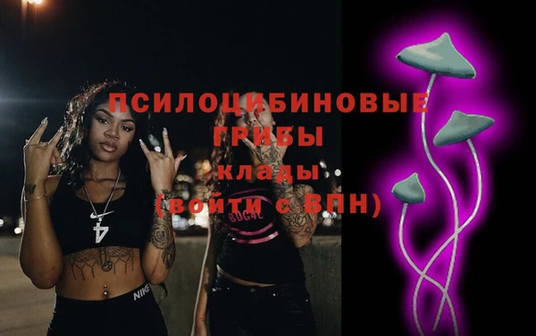 гидра Балахна