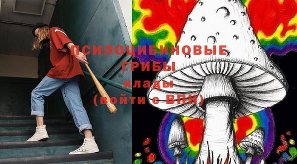 гашик Баксан